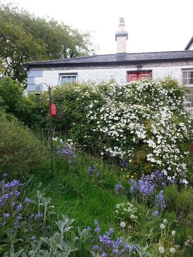 Gormanstown House Apt, The Island Tullamore Extérieur photo
