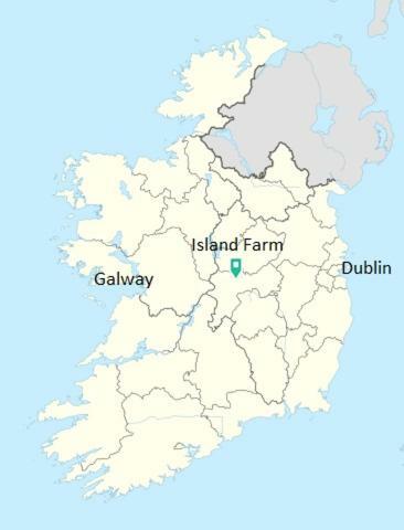 Gormanstown House Apt, The Island Tullamore Extérieur photo